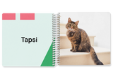 Design Fotobuch für Kinder: Meine Katze — Kleine Prints