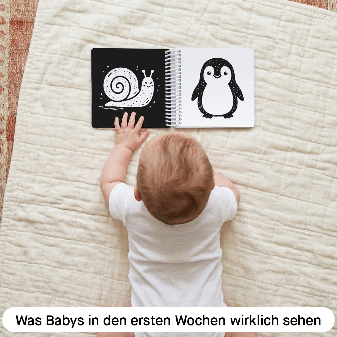 Aufgeschlagenes Kontrastbuch mit Schwarz-Weiß-Illustrationen von Schnecke und Pinguin, Baby greift nach den hochkontrastigen Mustern, Kleine Prints